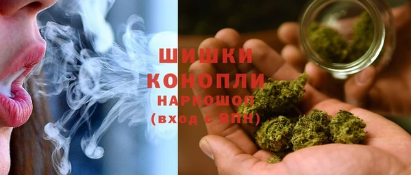 гидра Володарск