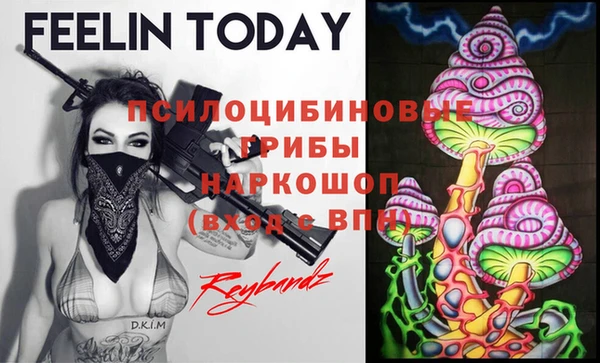 mdpv Верея